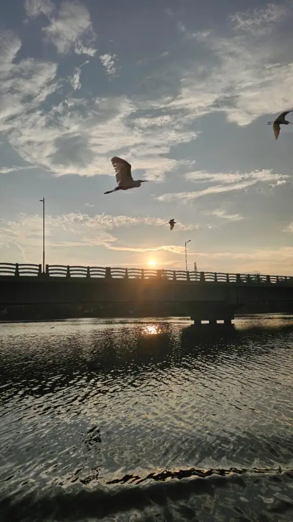 whatsapp image 2025 08 01 at 12.00.32 9a508332